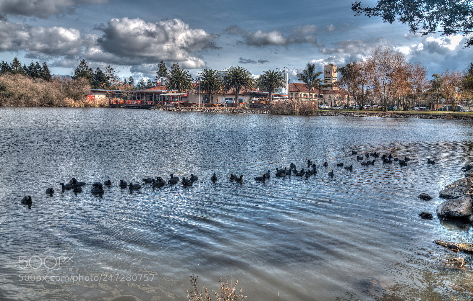 Nikon D850 sample photo. Roberts lake in rohnert photography