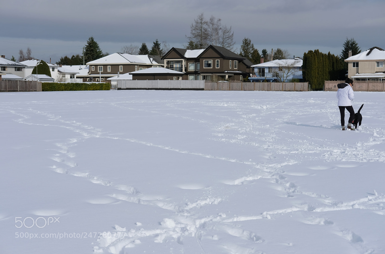 Fujifilm X-Pro2 sample photo. Walk in the snowy photography