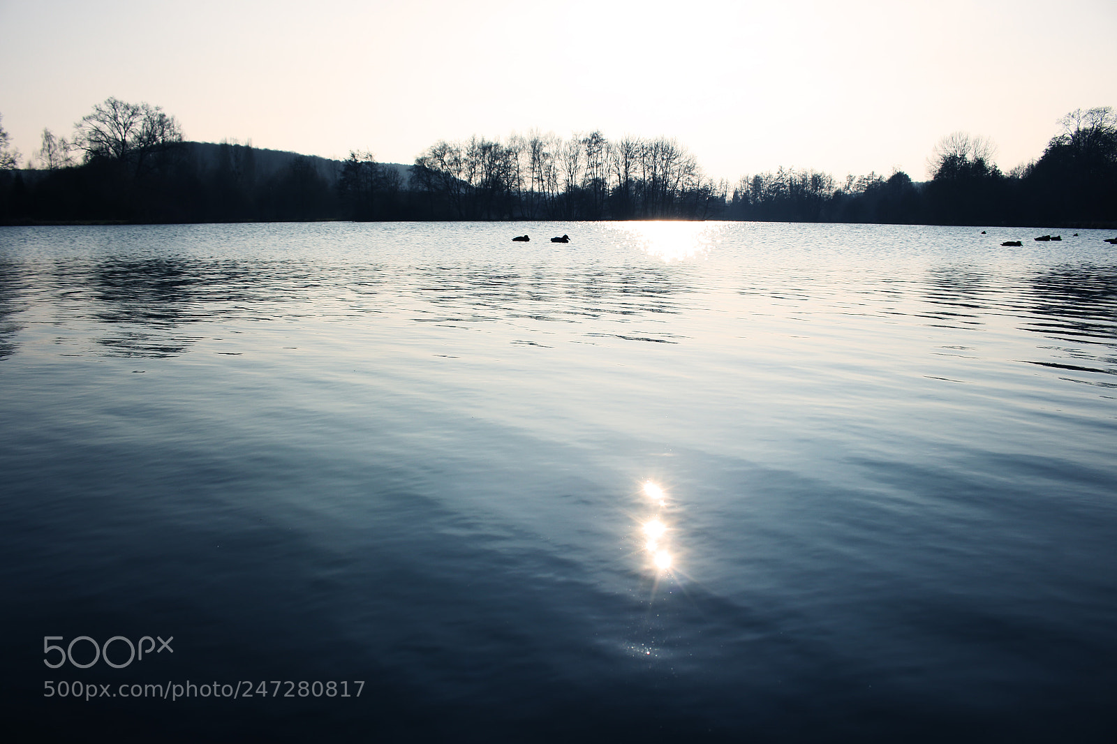 Canon EOS 700D (EOS Rebel T5i / EOS Kiss X7i) sample photo. Sur les bords du photography
