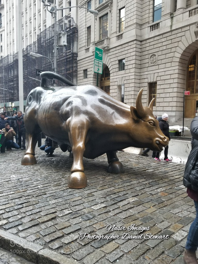 Samsung Galaxy S8+ sample photo. Untitled photography