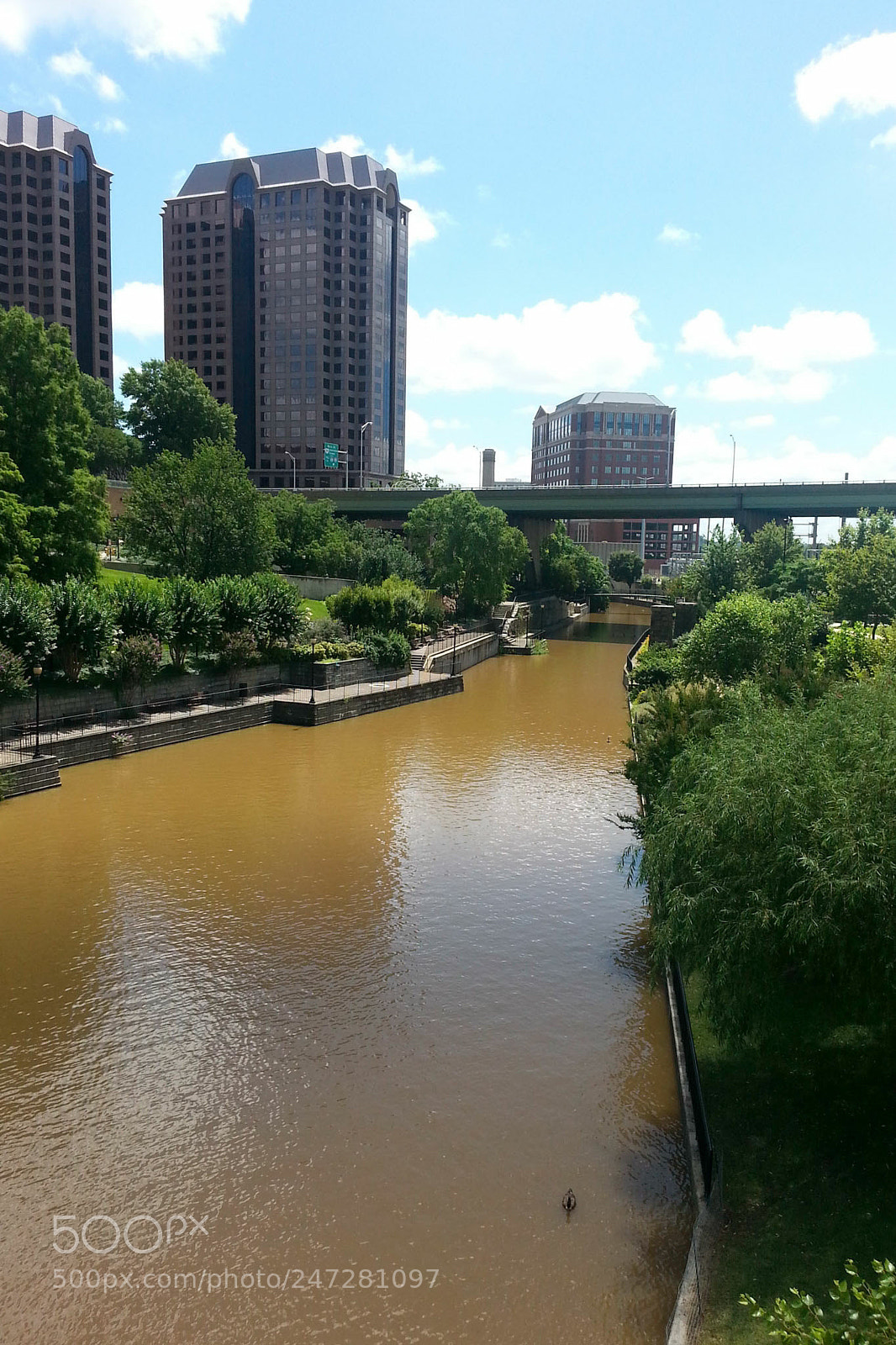 Samsung Galaxy S3 sample photo. Richmond photography