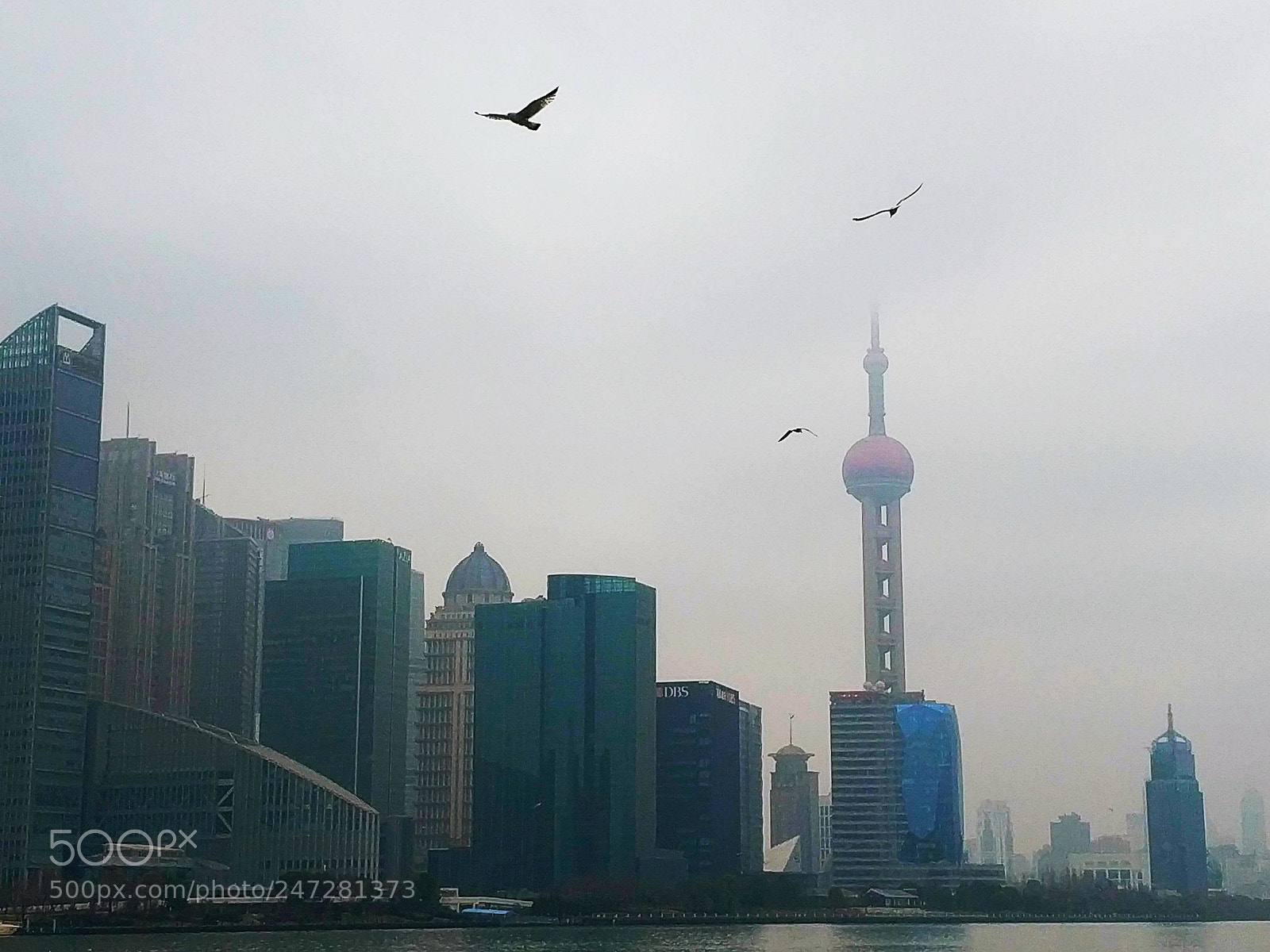 Xiaomi MIX 2 sample photo. Seagull & dongfangtower photography