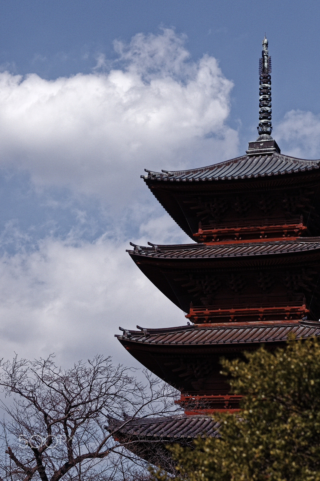 Pentax K-3 II sample photo