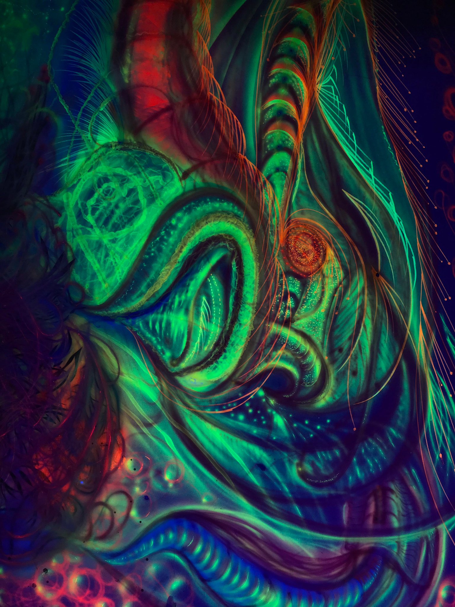 Apple iPad Pro (12.9-inch) (2nd generation) sample photo. Black light art created by myself photography