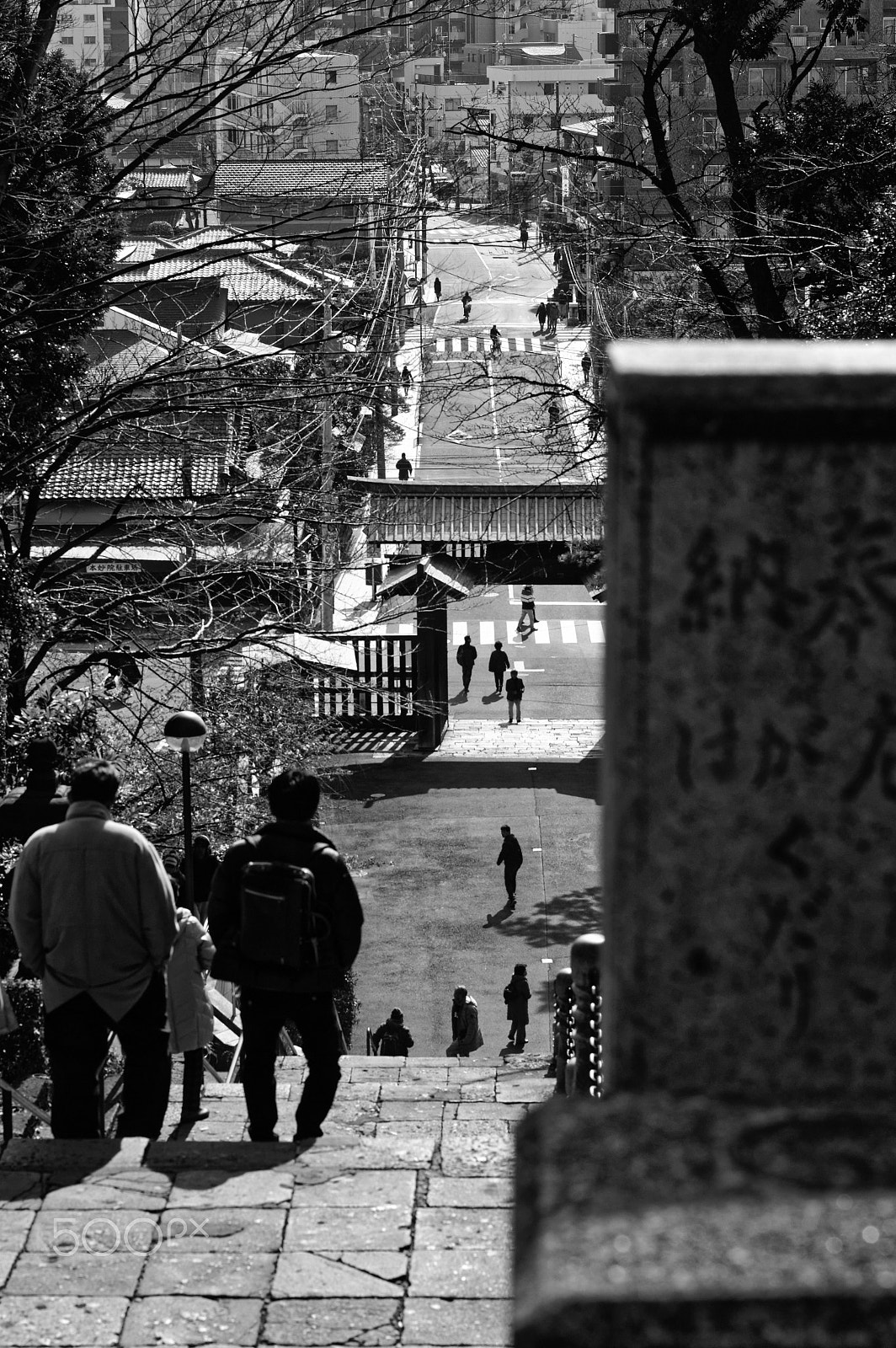 Pentax K-3 II sample photo