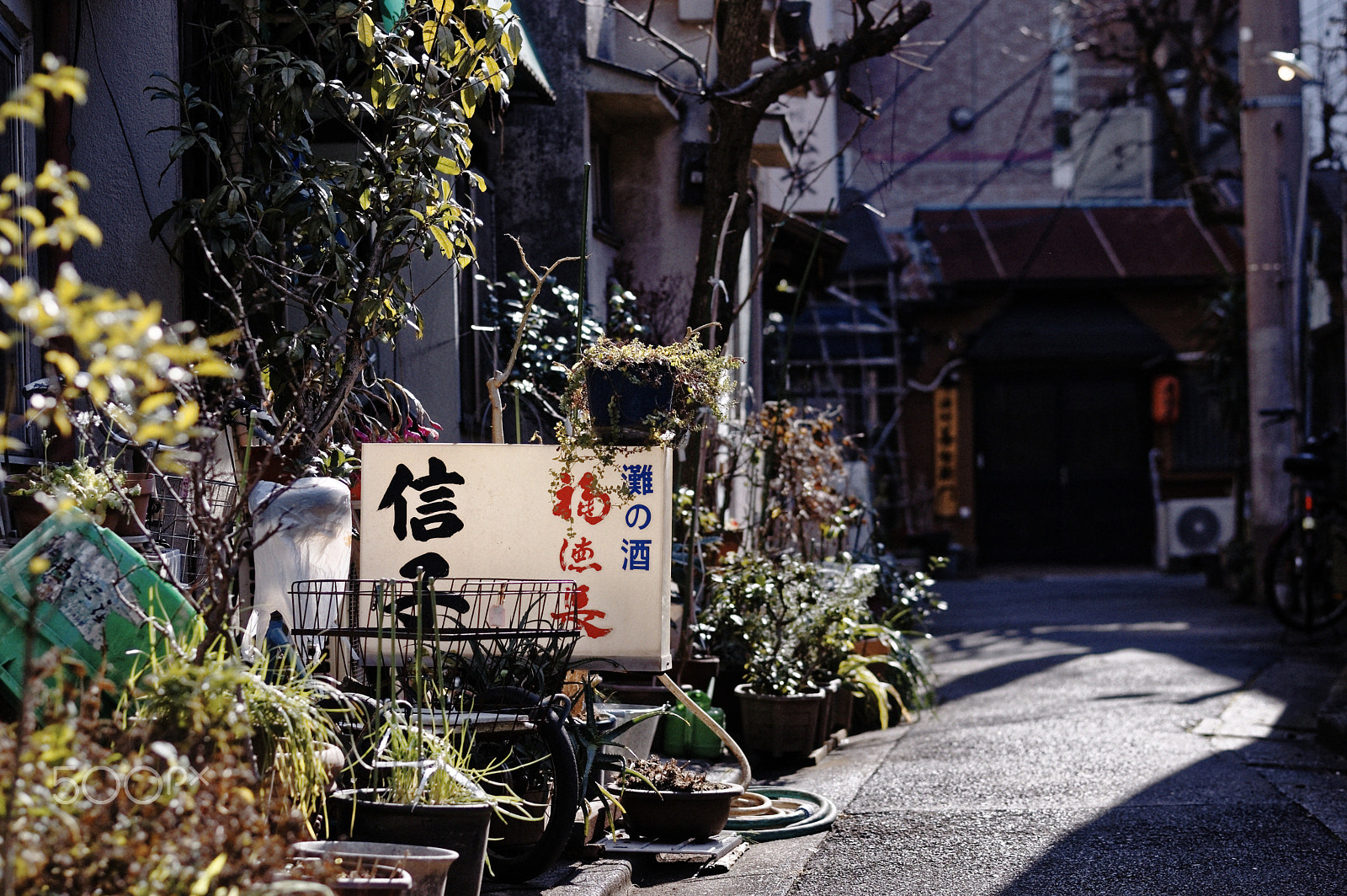 Pentax K-3 II sample photo