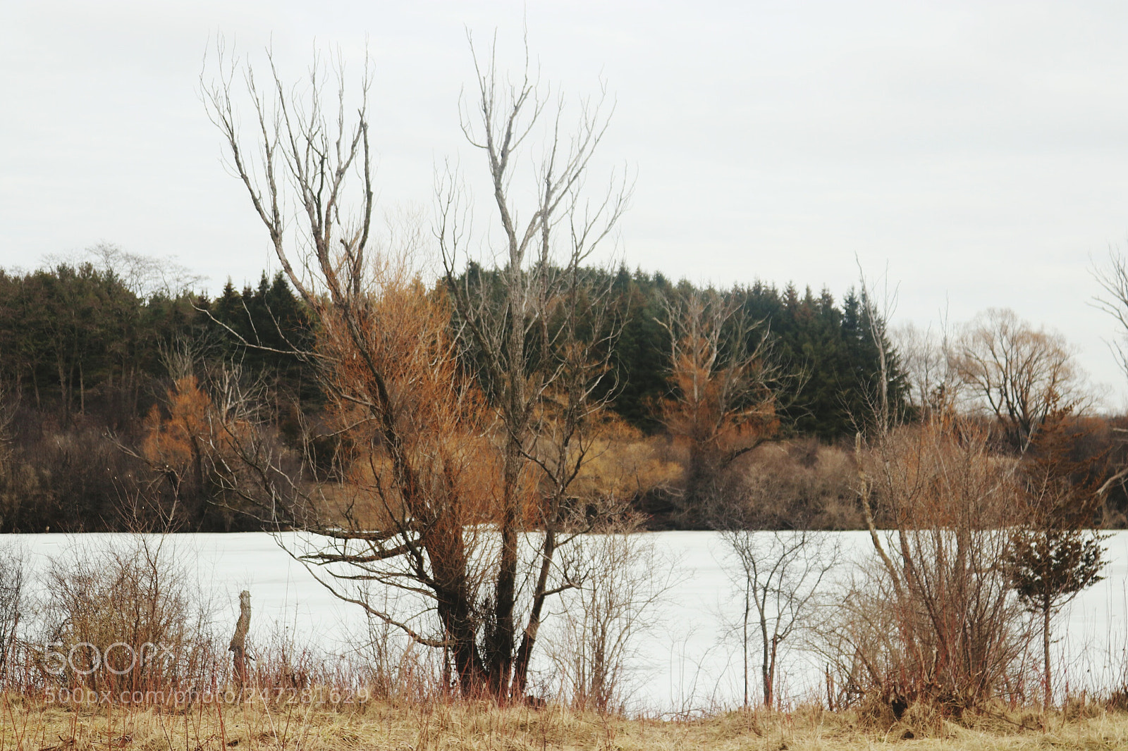 Canon EOS 80D sample photo. Landscape photography