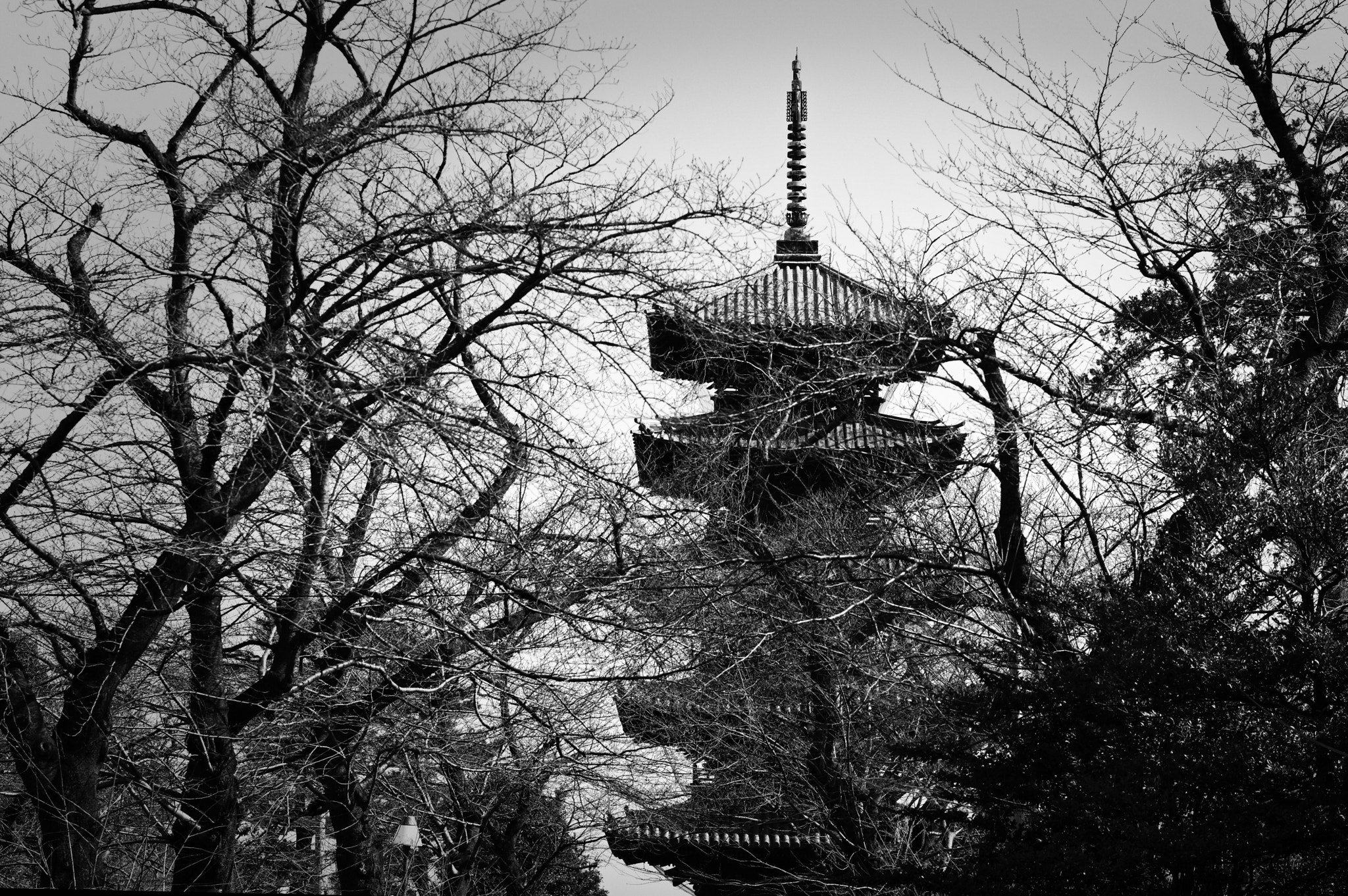 Pentax K-3 II sample photo