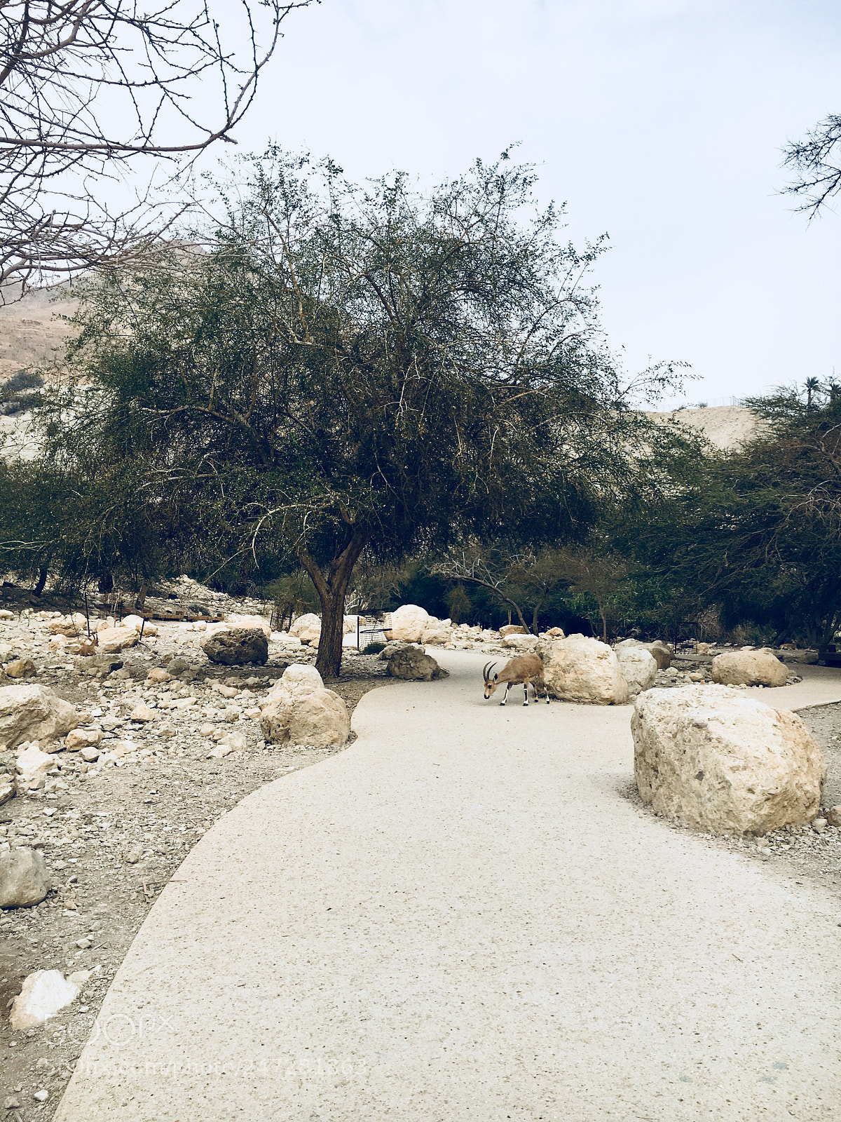 Apple iPhone 6s sample photo. Day out photography