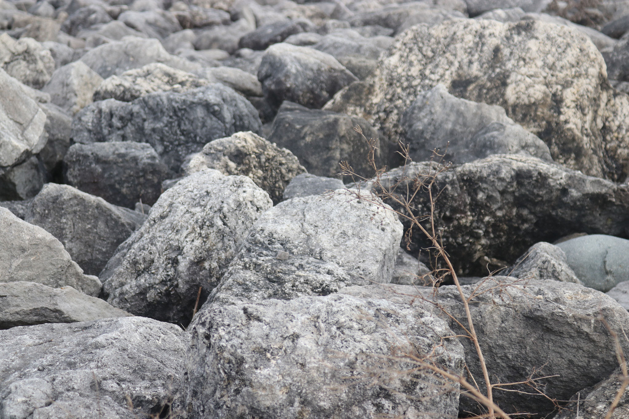Canon EOS 80D sample photo. Rock photography