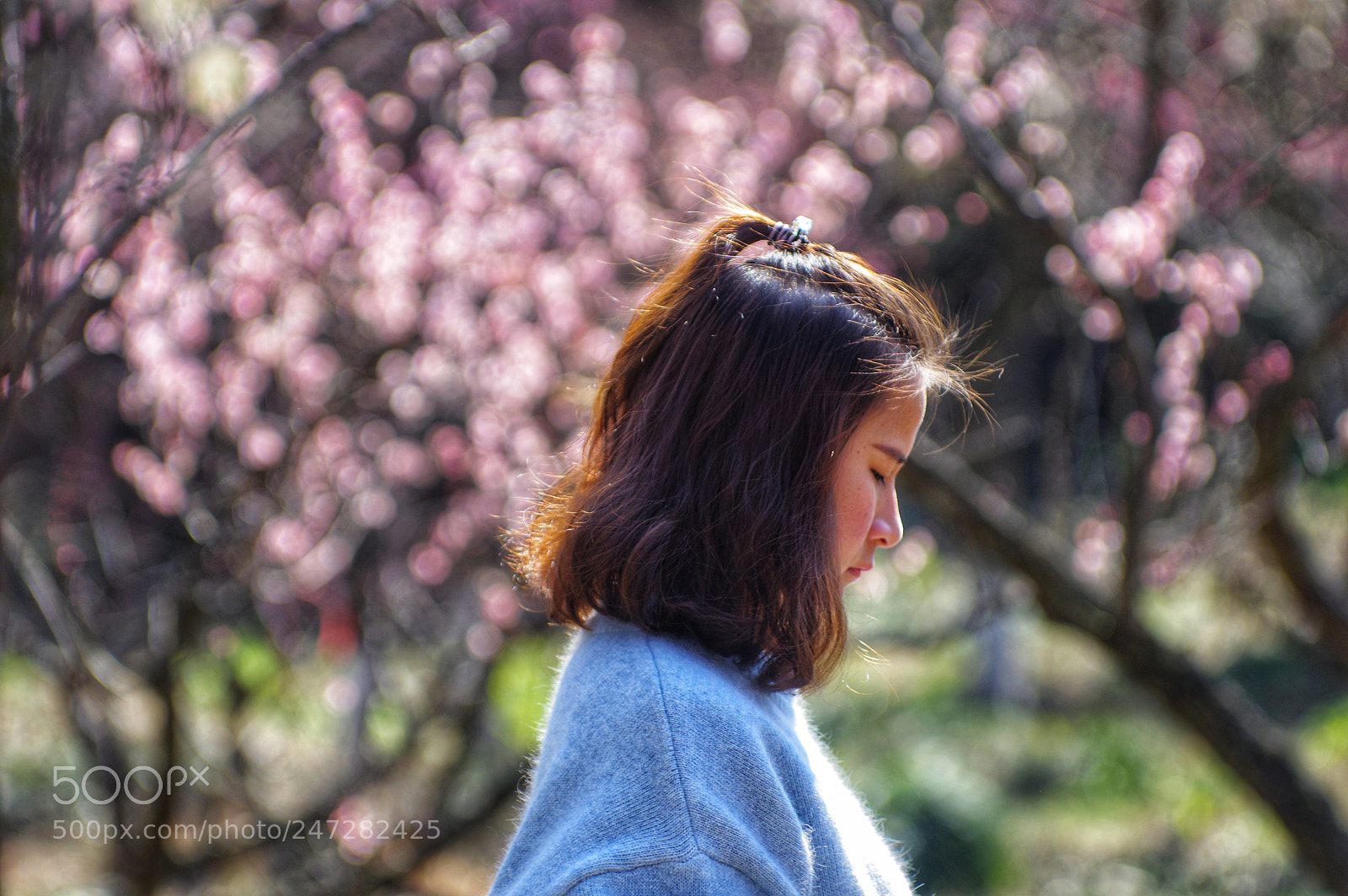 Pentax K-3 II sample photo. Untitled photography