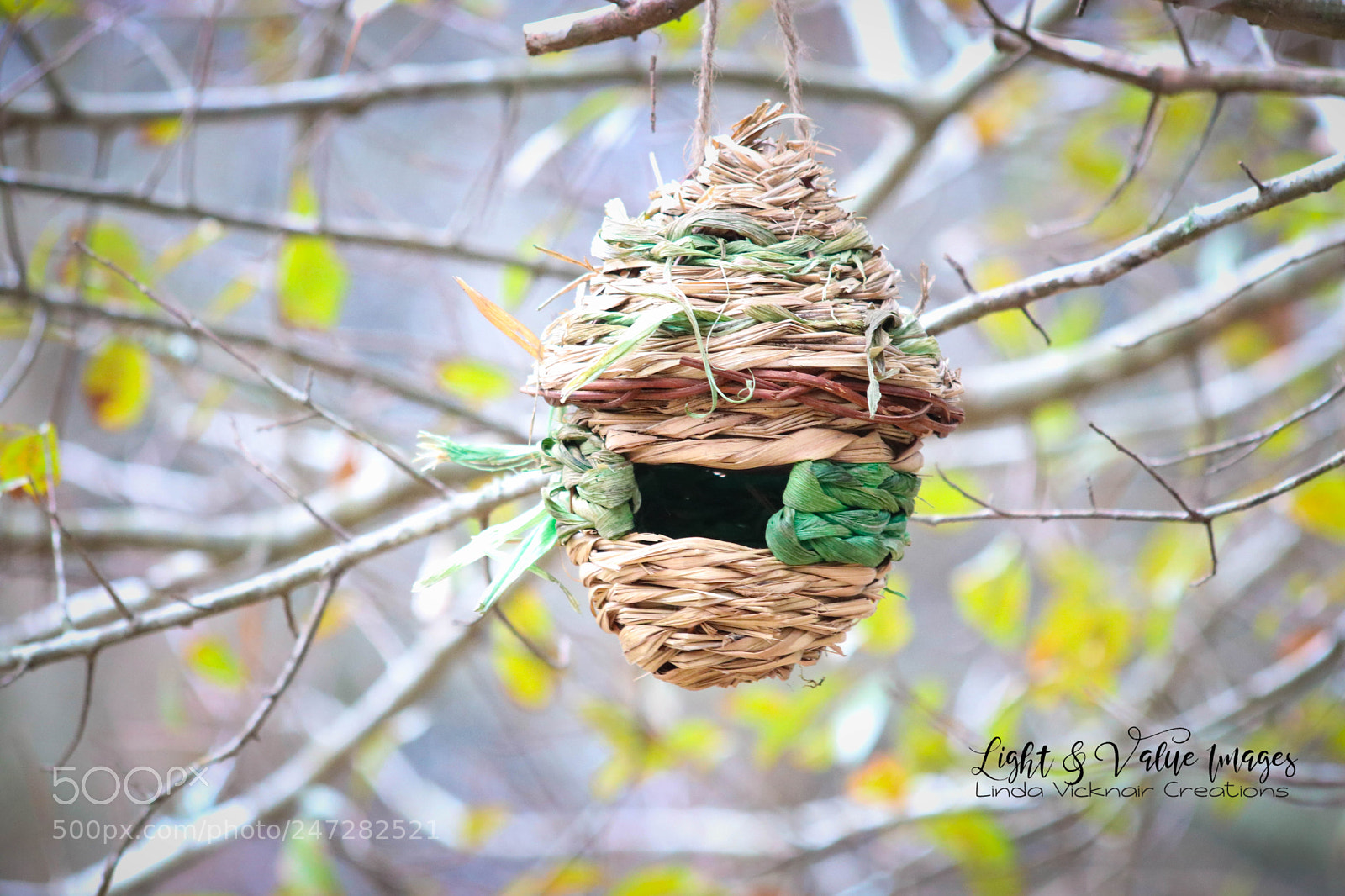 Canon EOS 80D sample photo. Img_1494-2.jpg photography