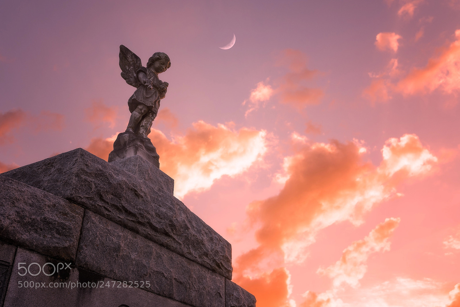 Nikon D810 sample photo. A watchful protector photography