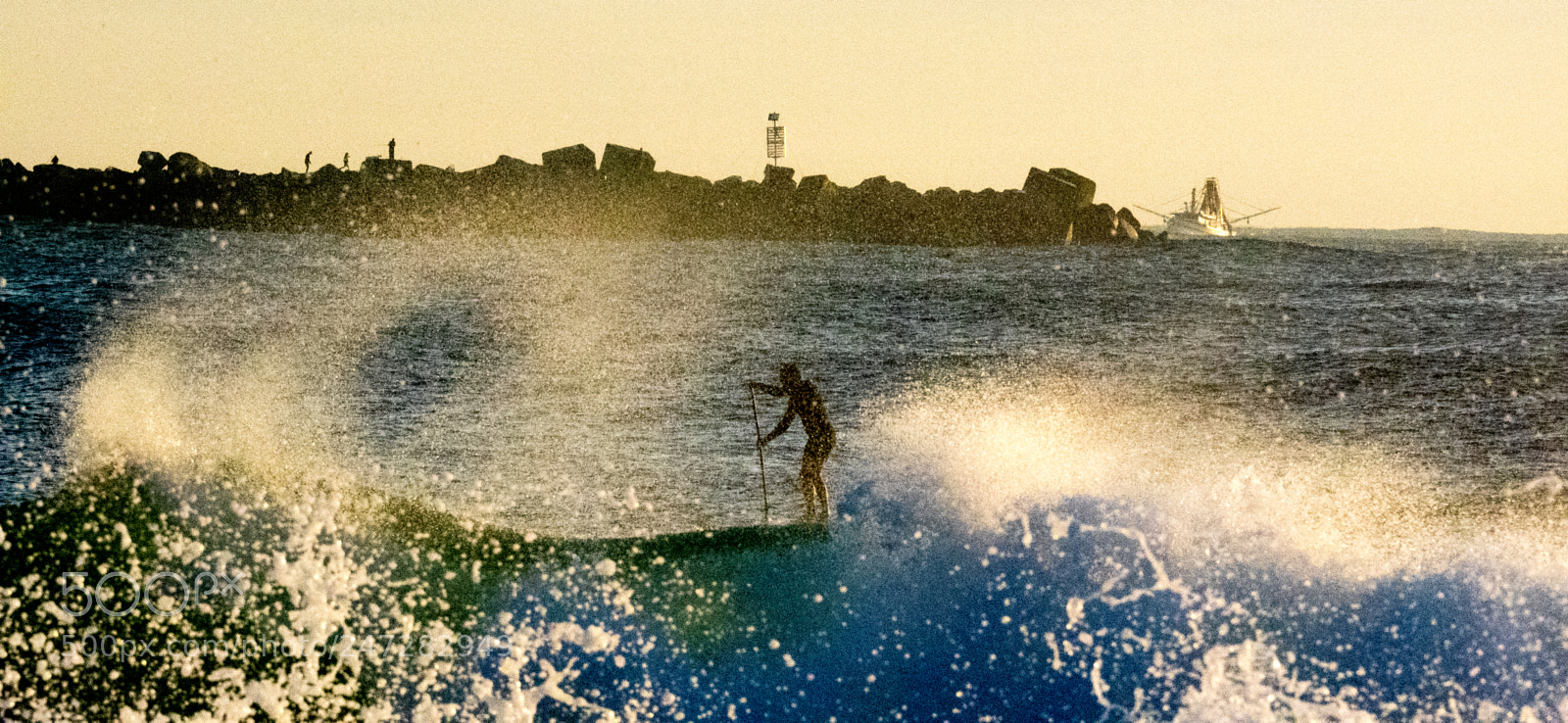 Olympus OM-D E-M1 sample photo. Morning paddle boarder yamba photography