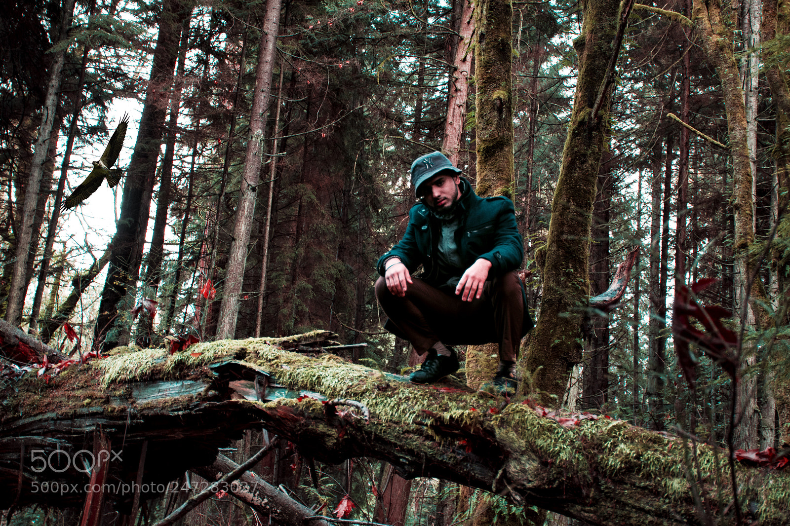 Nikon D7200 sample photo. Eagle vision photography