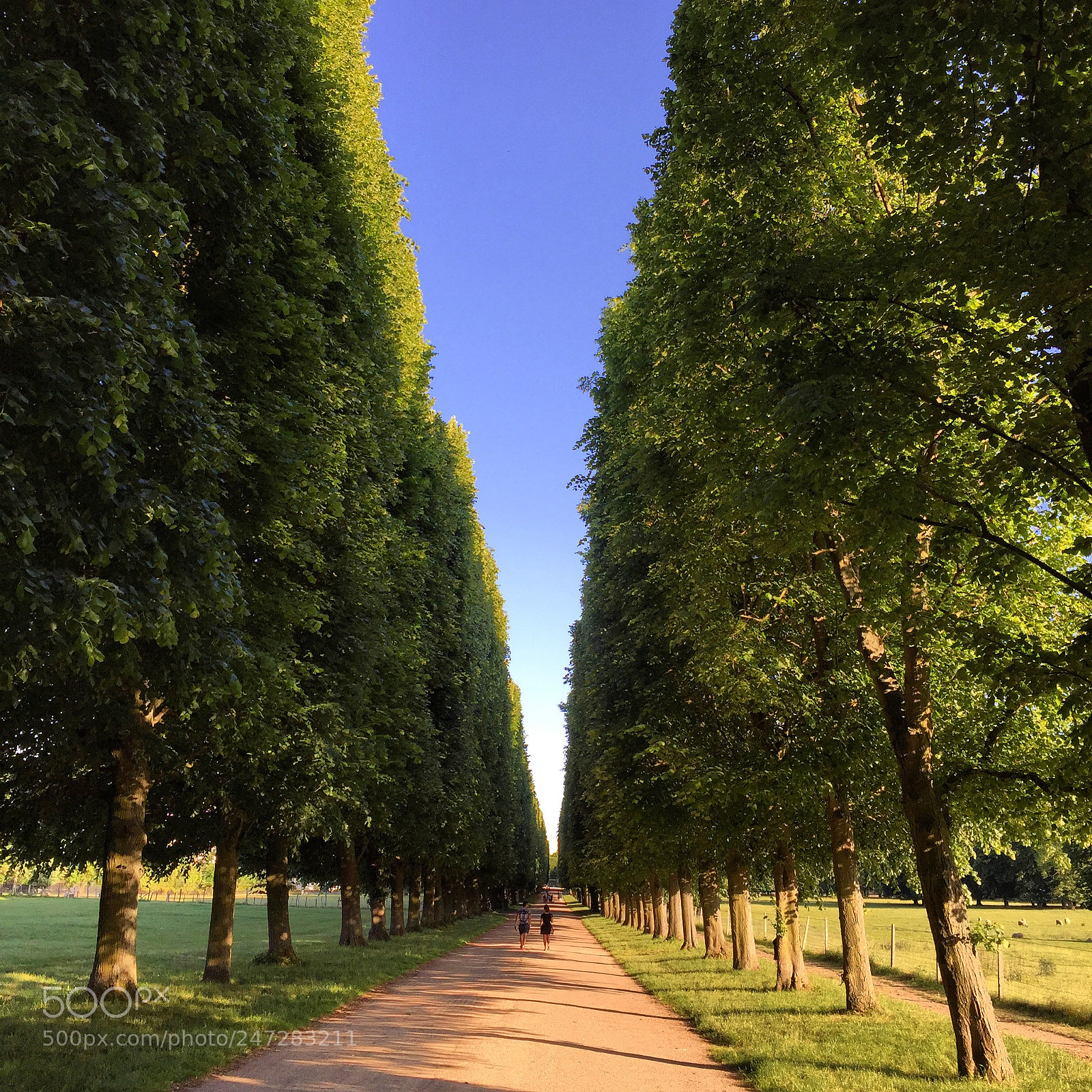 Apple iPhone 6 sample photo. Endless... photography