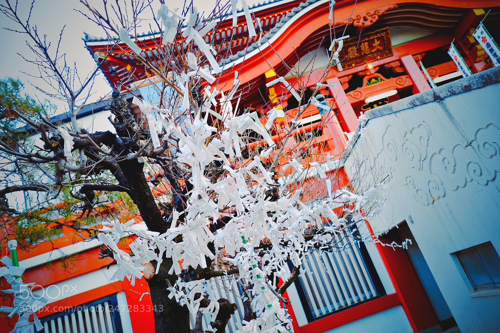 Fujifilm X-T1 sample photo. Untitled photography