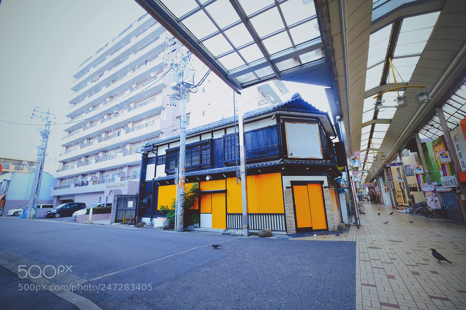 Fujifilm X-T1 sample photo. Untitled photography