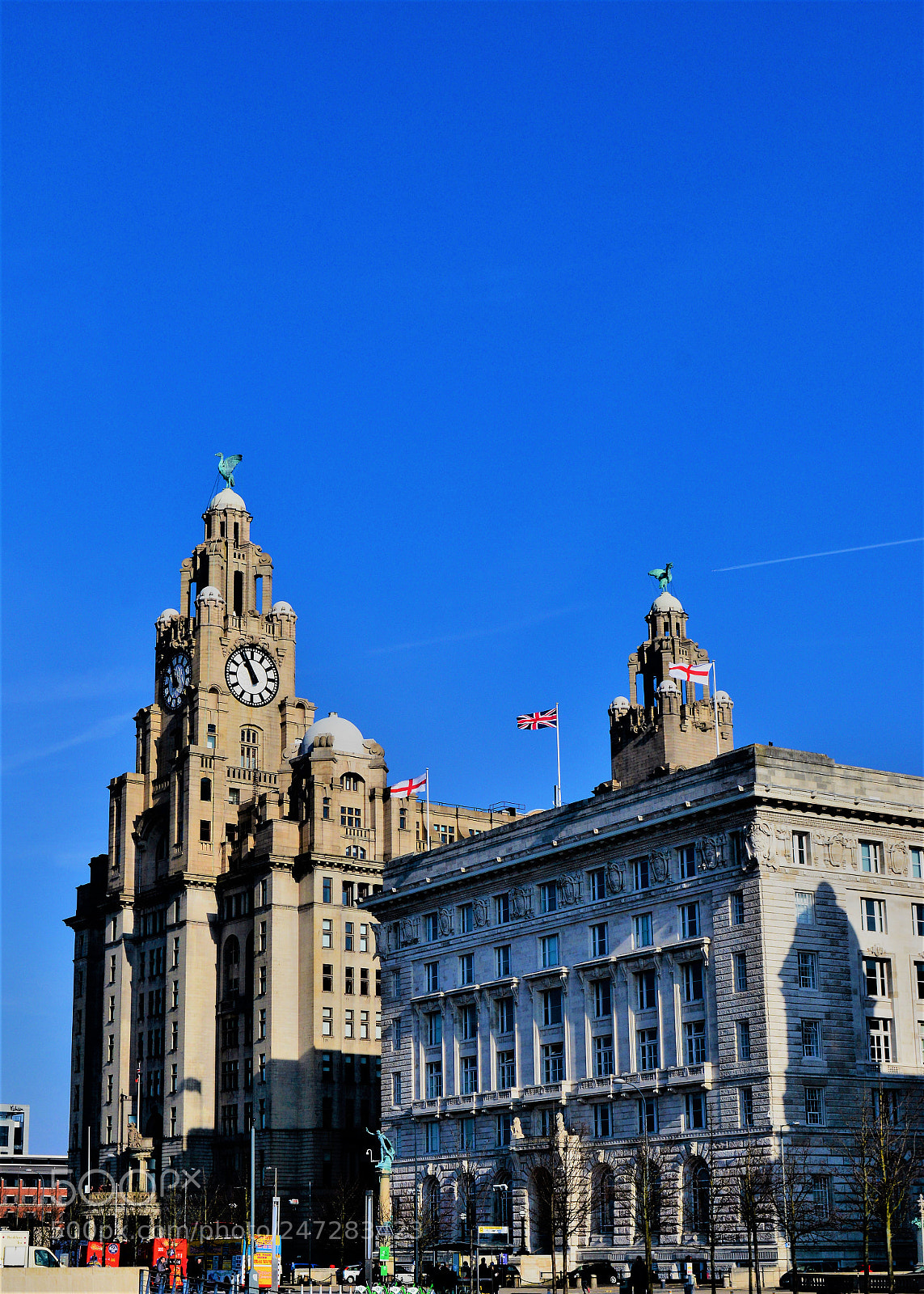 Nikon D3200 sample photo. Liverpool birds photography