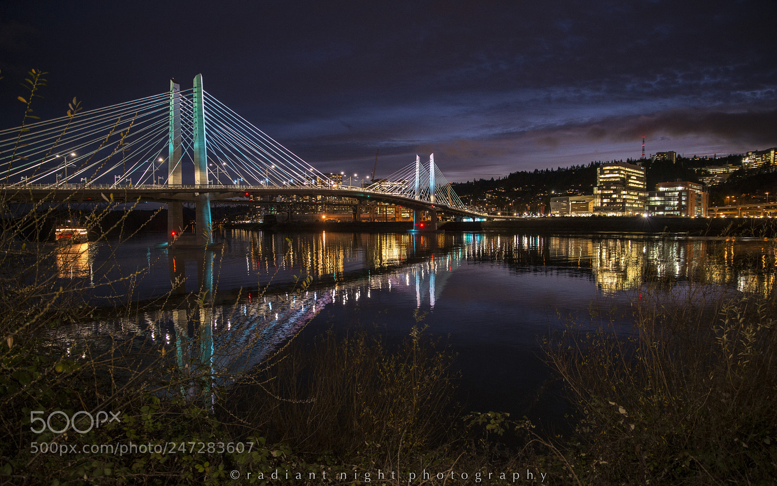 Nikon D610 sample photo. Tilikum crossing at twilight photography