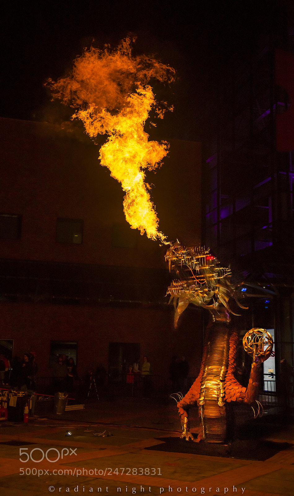 Nikon D610 sample photo. Tribute to trogdor photography