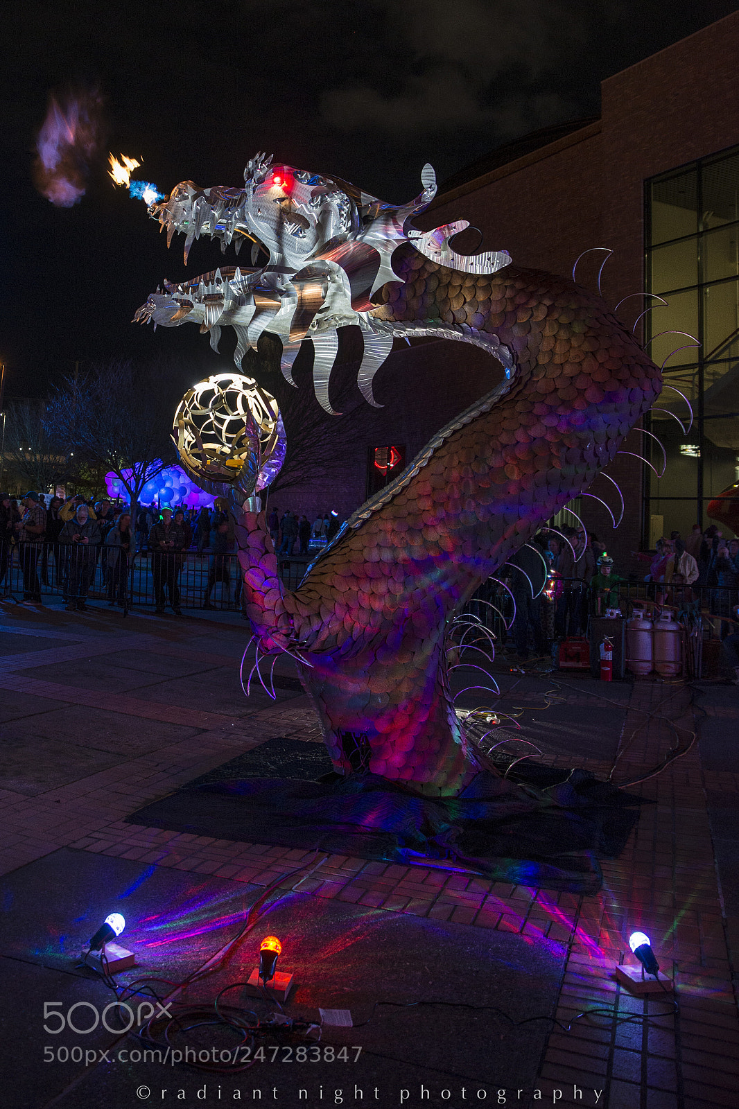 Nikon D610 sample photo. Tribute to trogdor photography