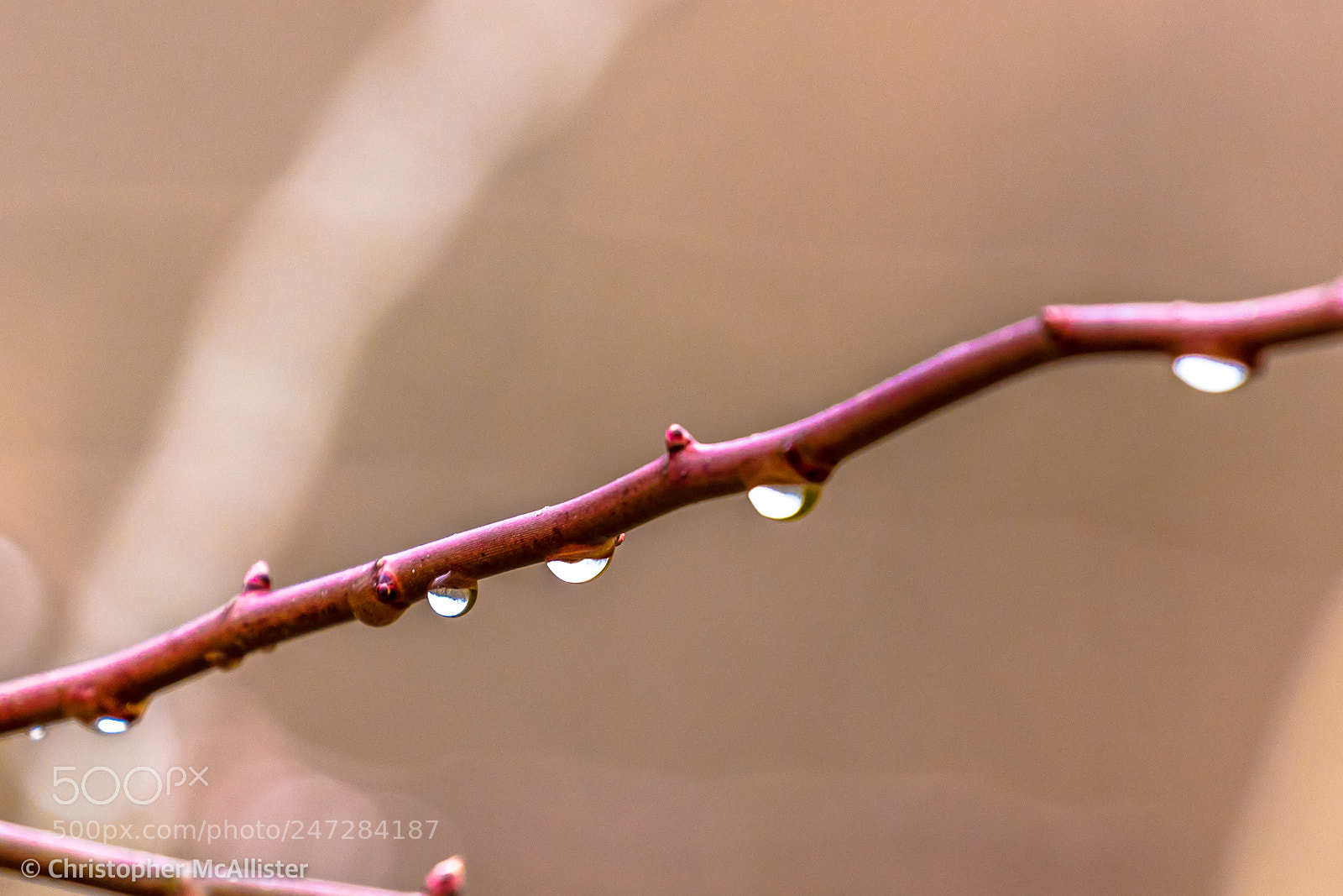 Canon EOS 5DS R sample photo. Rain, rain, go away! photography