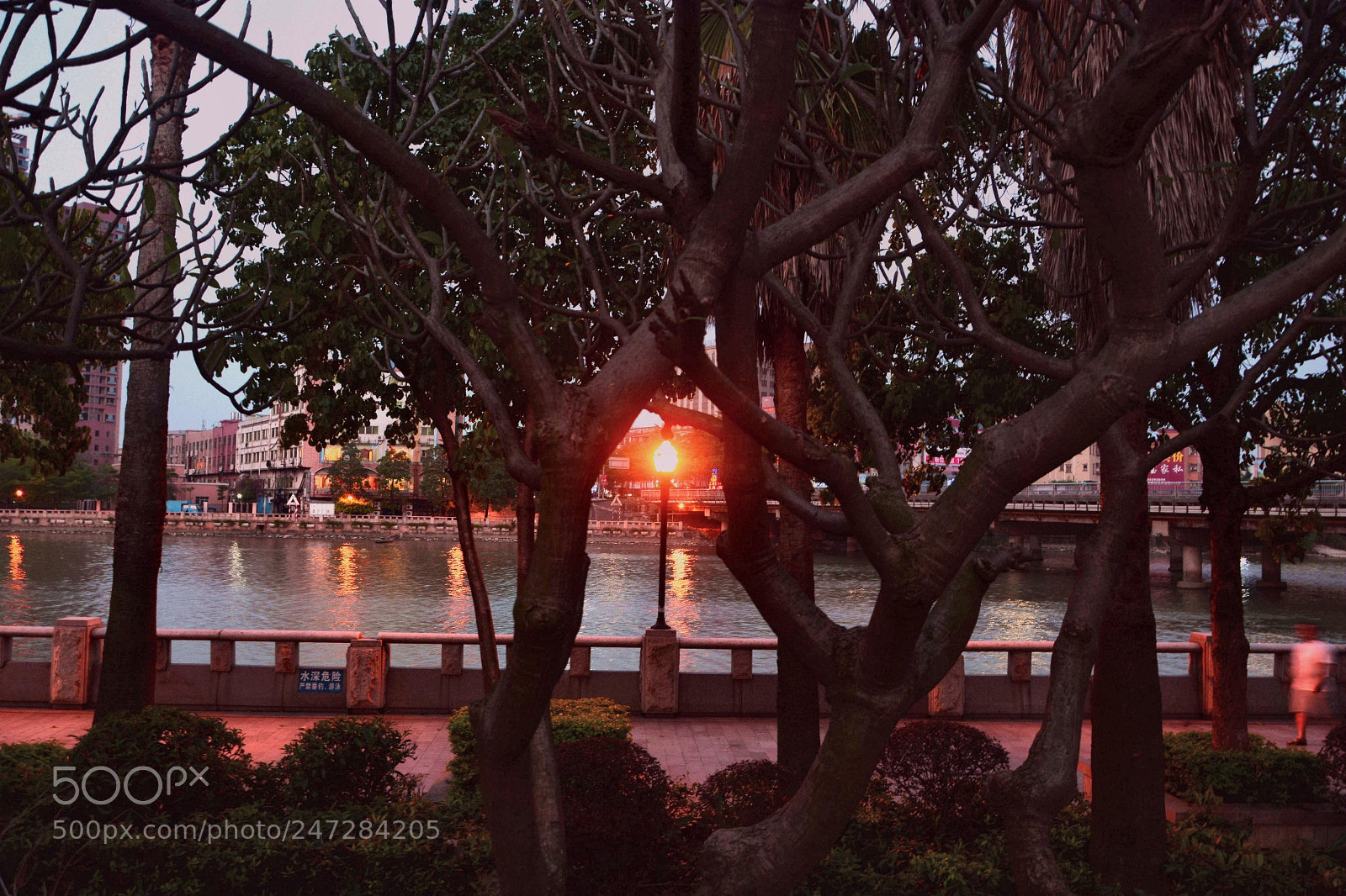 Nikon D7100 sample photo. Light photography