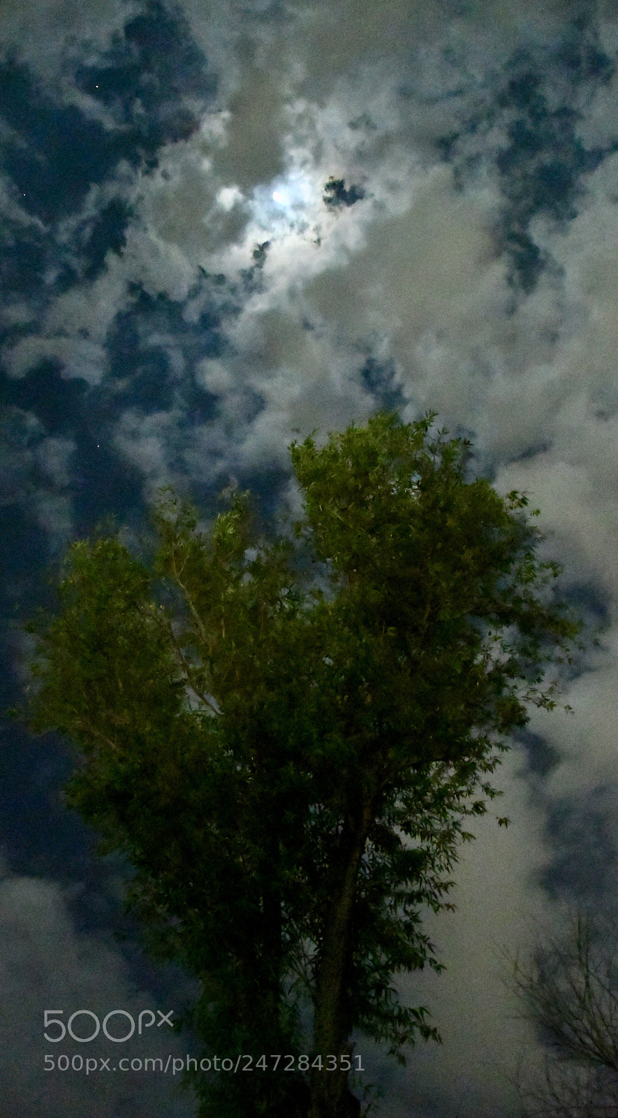 Nikon D7500 sample photo. Cloudy night. photography