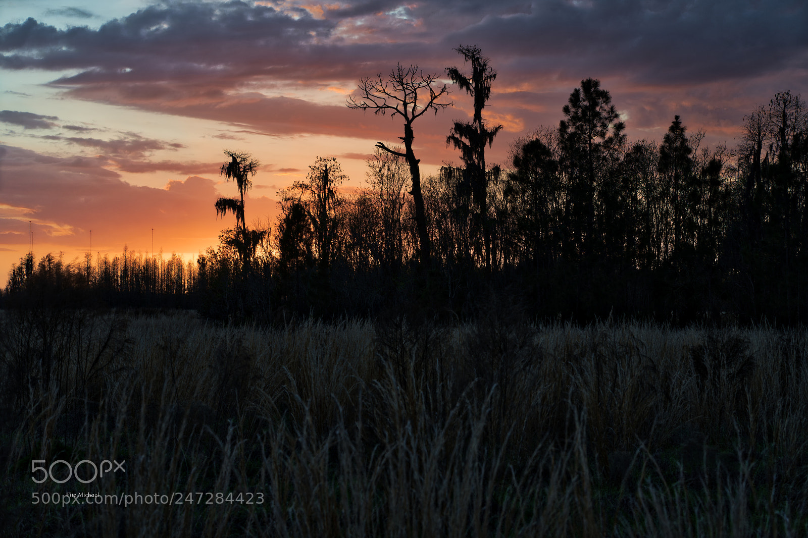 Sony a7R III sample photo. Fields of dream photography