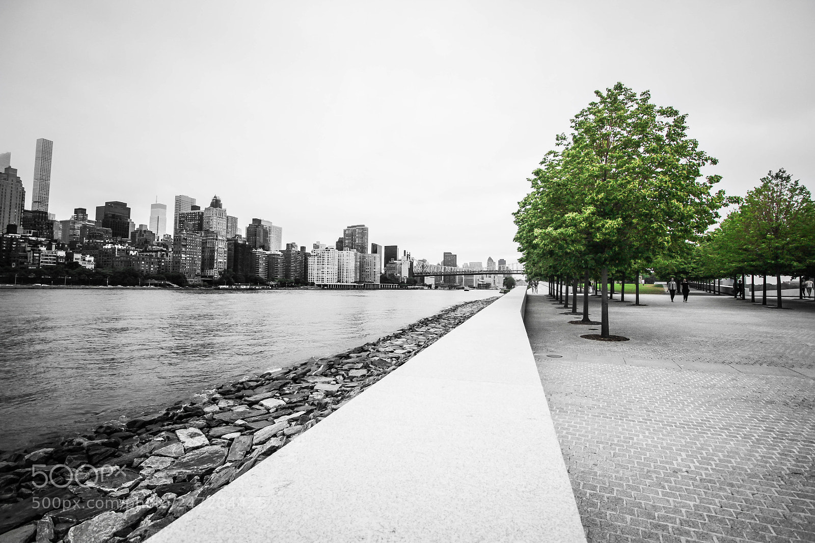 Canon EOS 60D sample photo. New york park photography