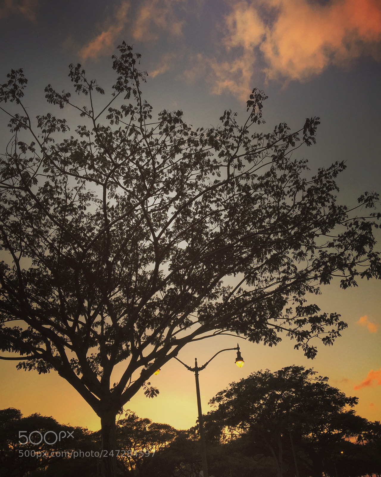 Apple iPhone 6 Plus sample photo. Views photography