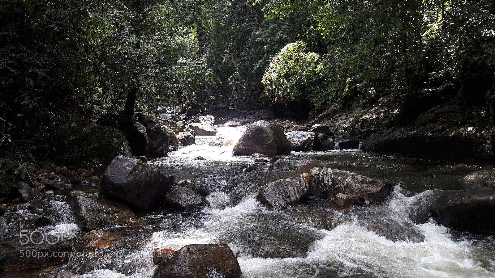 Samsung Galaxy J7 sample photo. Sinharaja rain forest ,sri photography