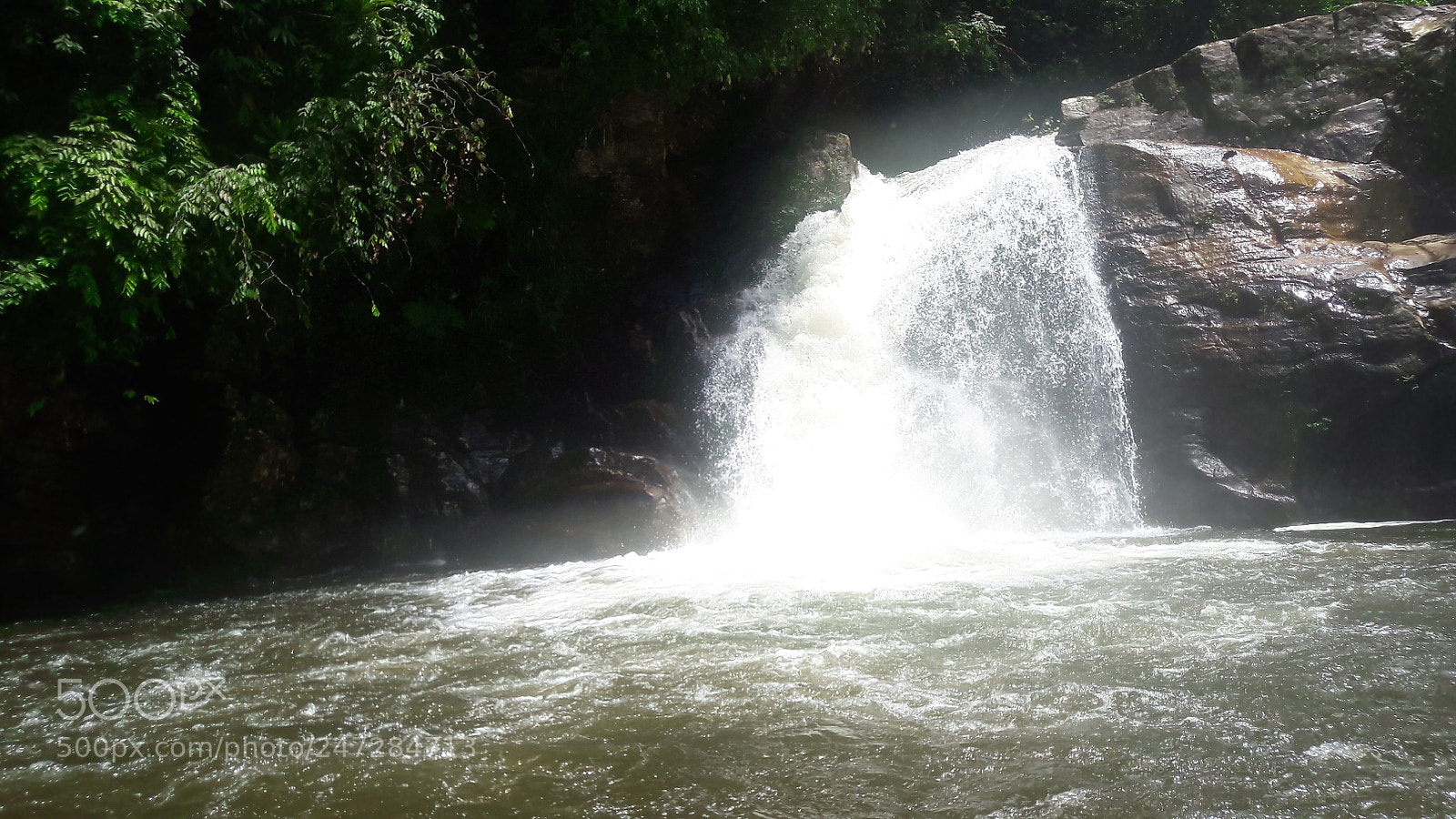 Samsung Galaxy J7 sample photo. Sinharaja rain forest ,sri photography