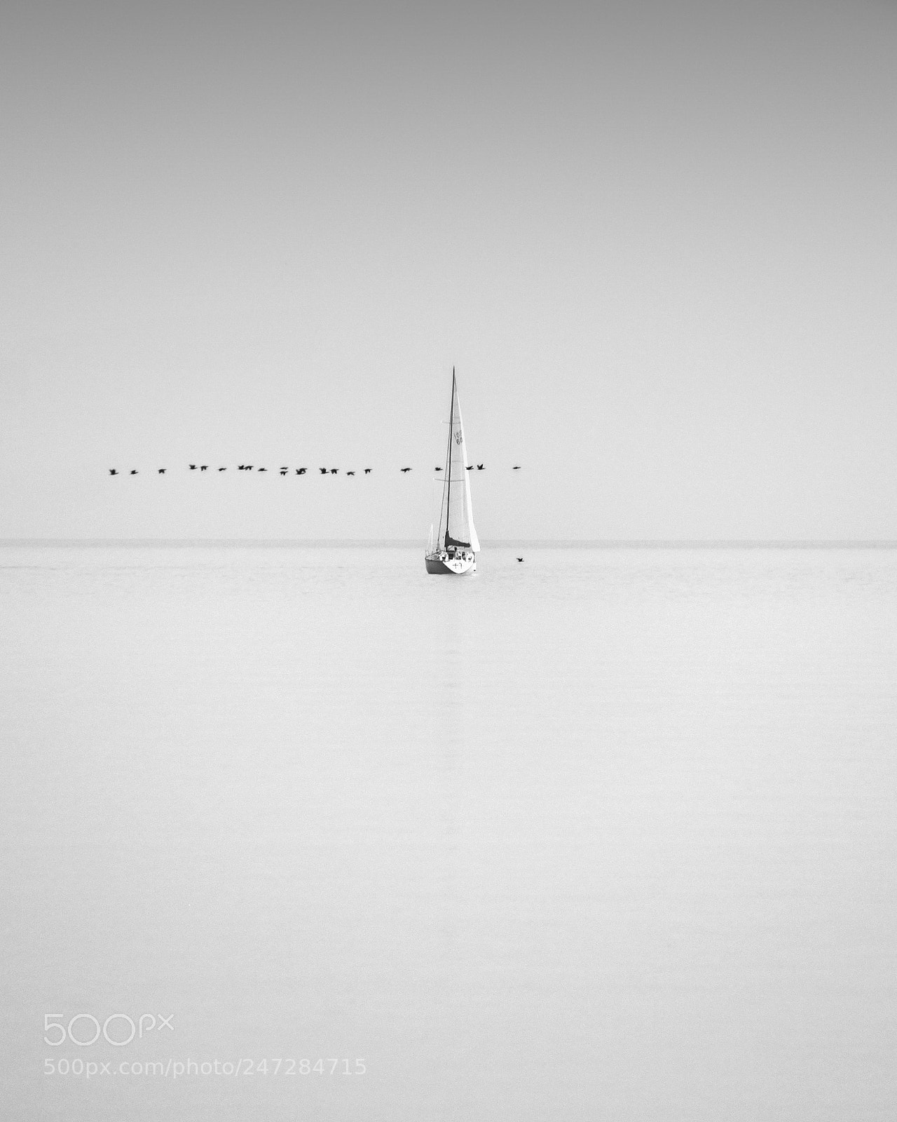 Canon EOS 500D (EOS Rebel T1i / EOS Kiss X3) sample photo. Sailing #6 photography