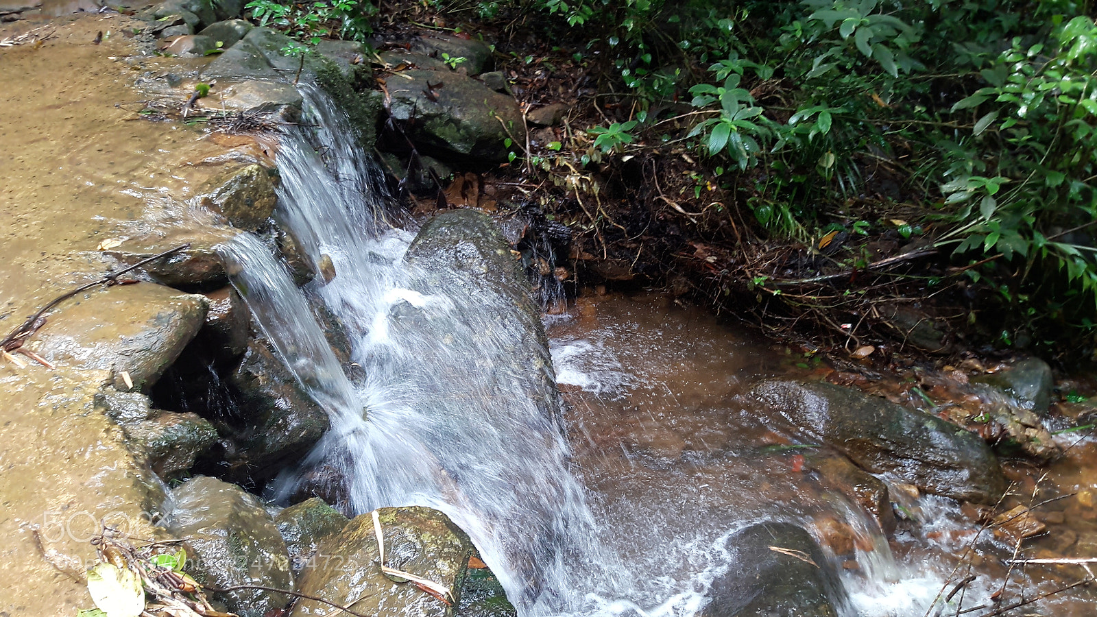 Samsung Galaxy J7 sample photo. Sinharaja rain forest ,sri photography