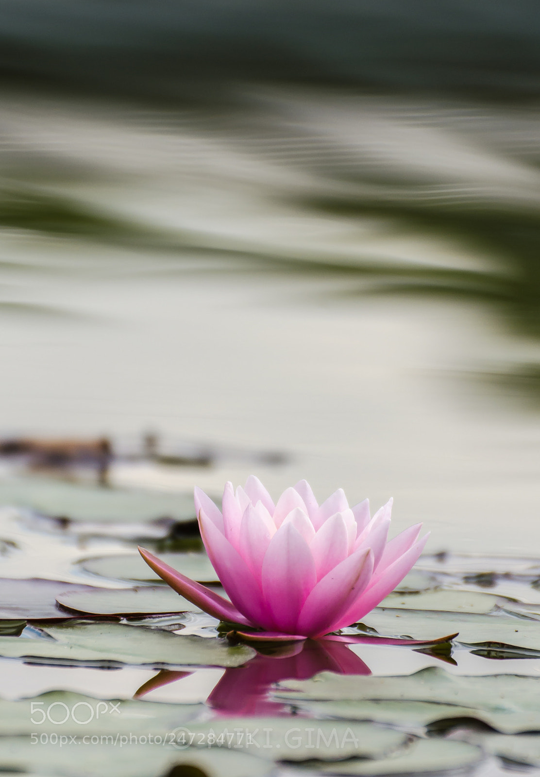 Nikon D5100 sample photo. Untitled photography