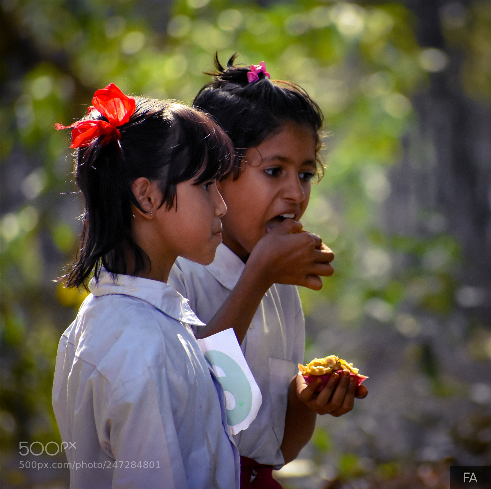 Nikon D3400 sample photo. The innocent friendship photography