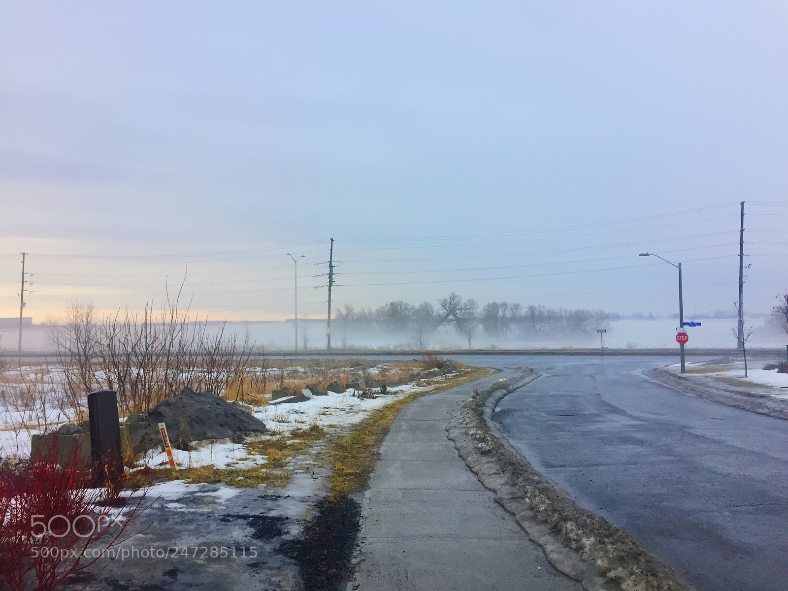 Apple iPhone 6 sample photo. Untitled photography
