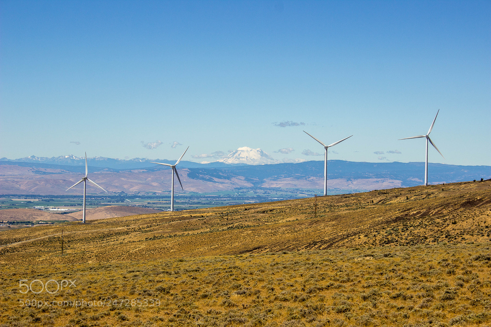 Canon EOS 600D (Rebel EOS T3i / EOS Kiss X5) sample photo. Rainier through windmills photography