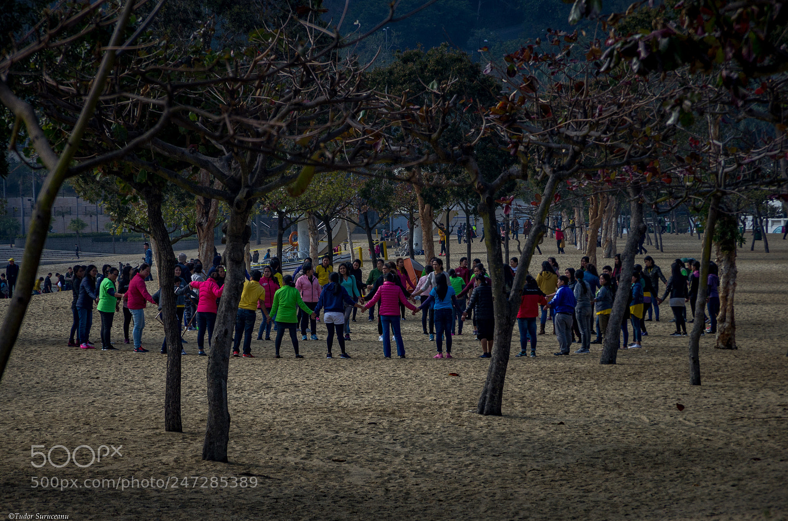 Pentax K-5 sample photo. The circle photography