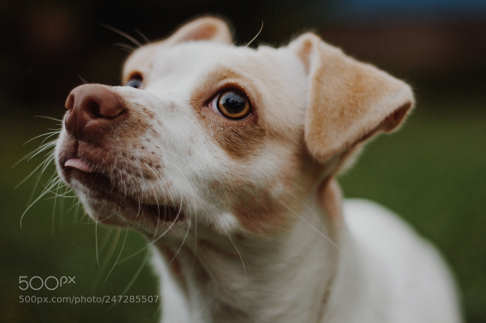 Canon EOS 7D sample photo. Untitled photography