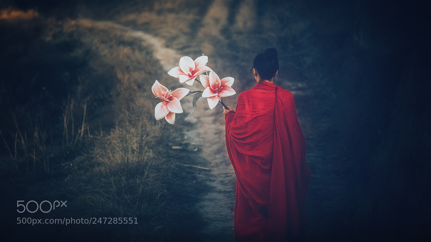 Canon EOS 5DS R sample photo. Untitled photography