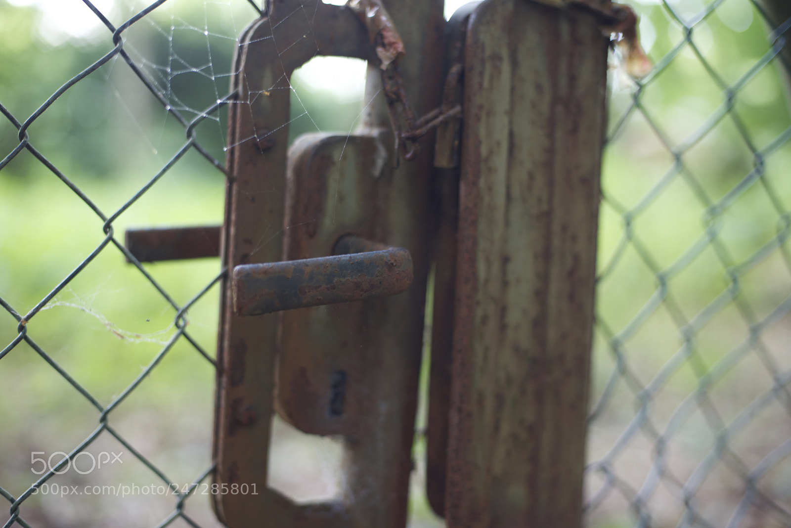 Nikon D800 sample photo. Altes türschloss photography