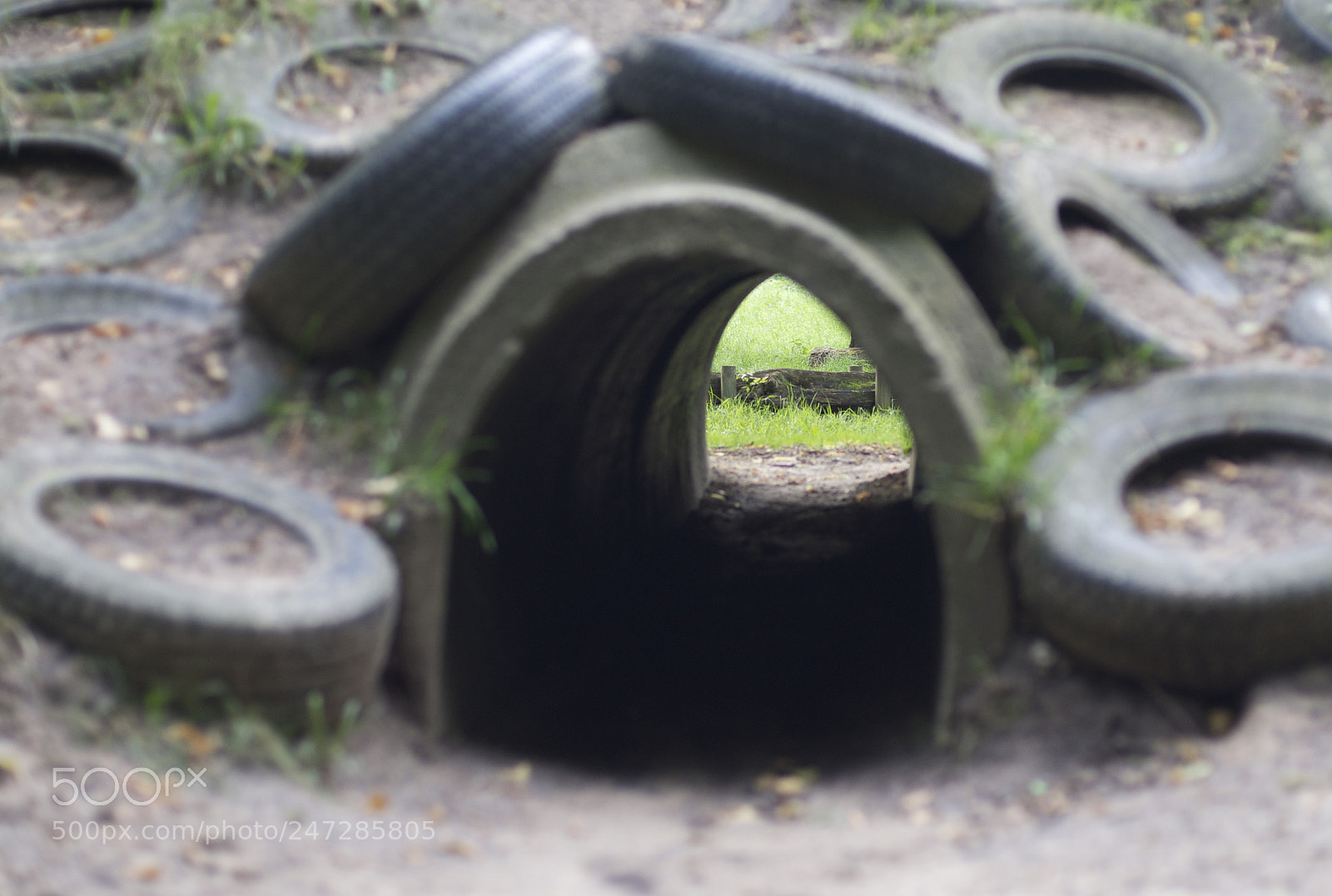 Nikon D800 sample photo. Tunnel im park photography