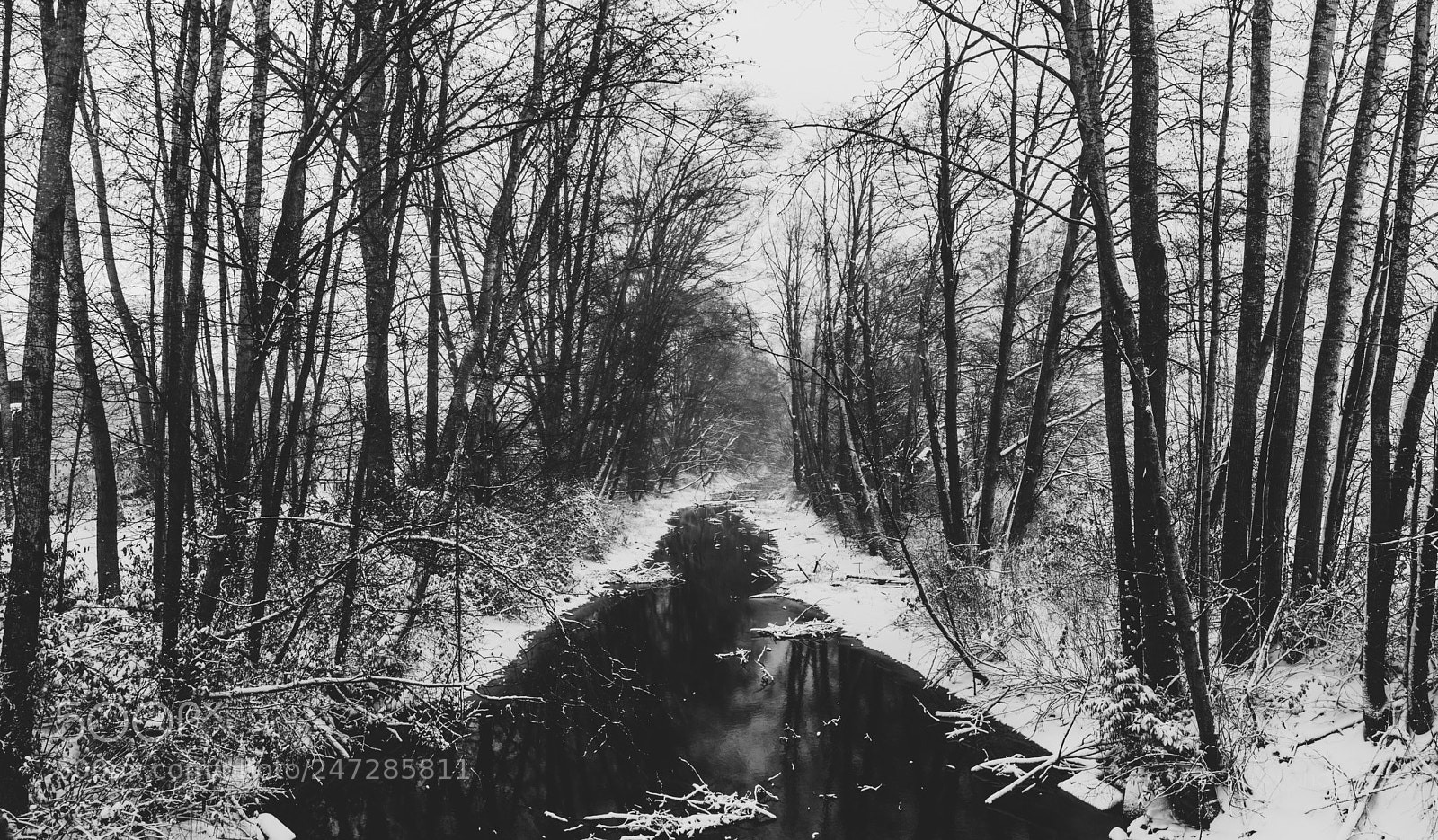 Olympus OM-D E-M5 II sample photo. Snowy river photography