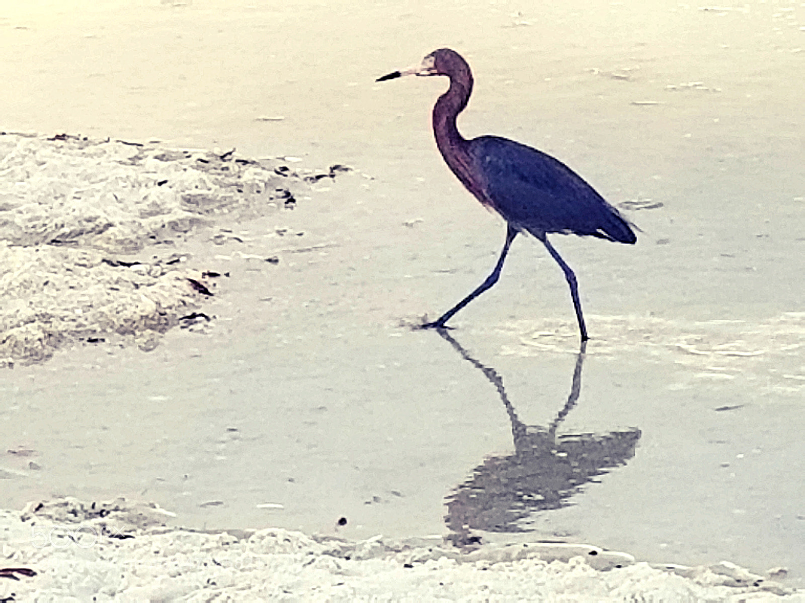 Samsung Galaxy S8+ sample photo. Untitled photography