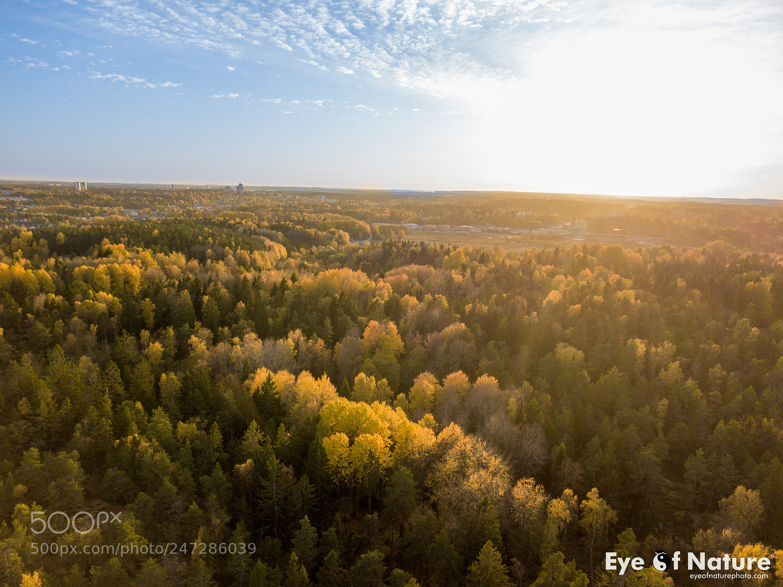 DJI FC220 sample photo. Sweden photography