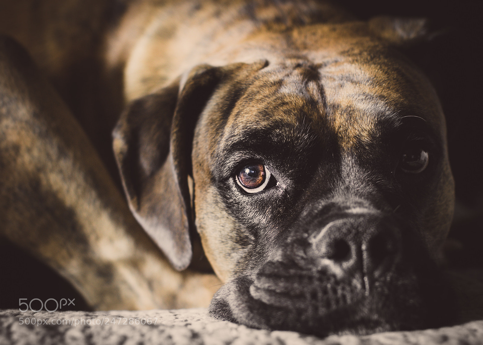 Canon EOS 7D Mark II sample photo. The therapist photography