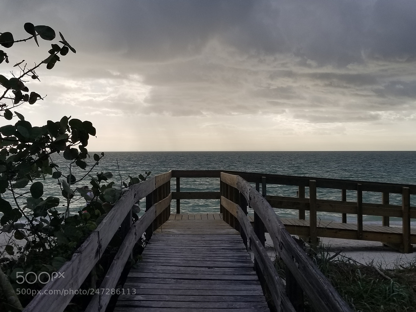 Samsung Galaxy S8+ sample photo. Untitled photography
